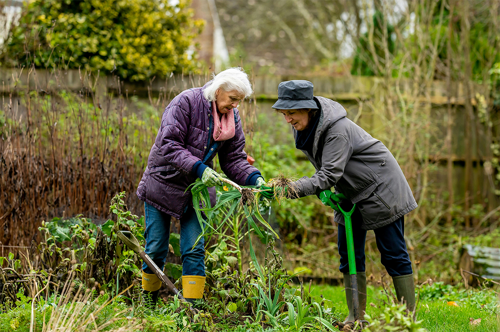 Eine ältere Frau macht Gartenarbeit. Eine jüngere Frau hilft ihr.